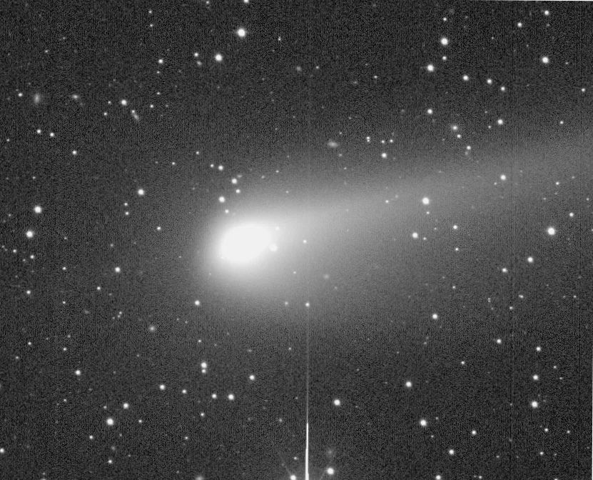 The comet on 11 November 2021 by ZTF