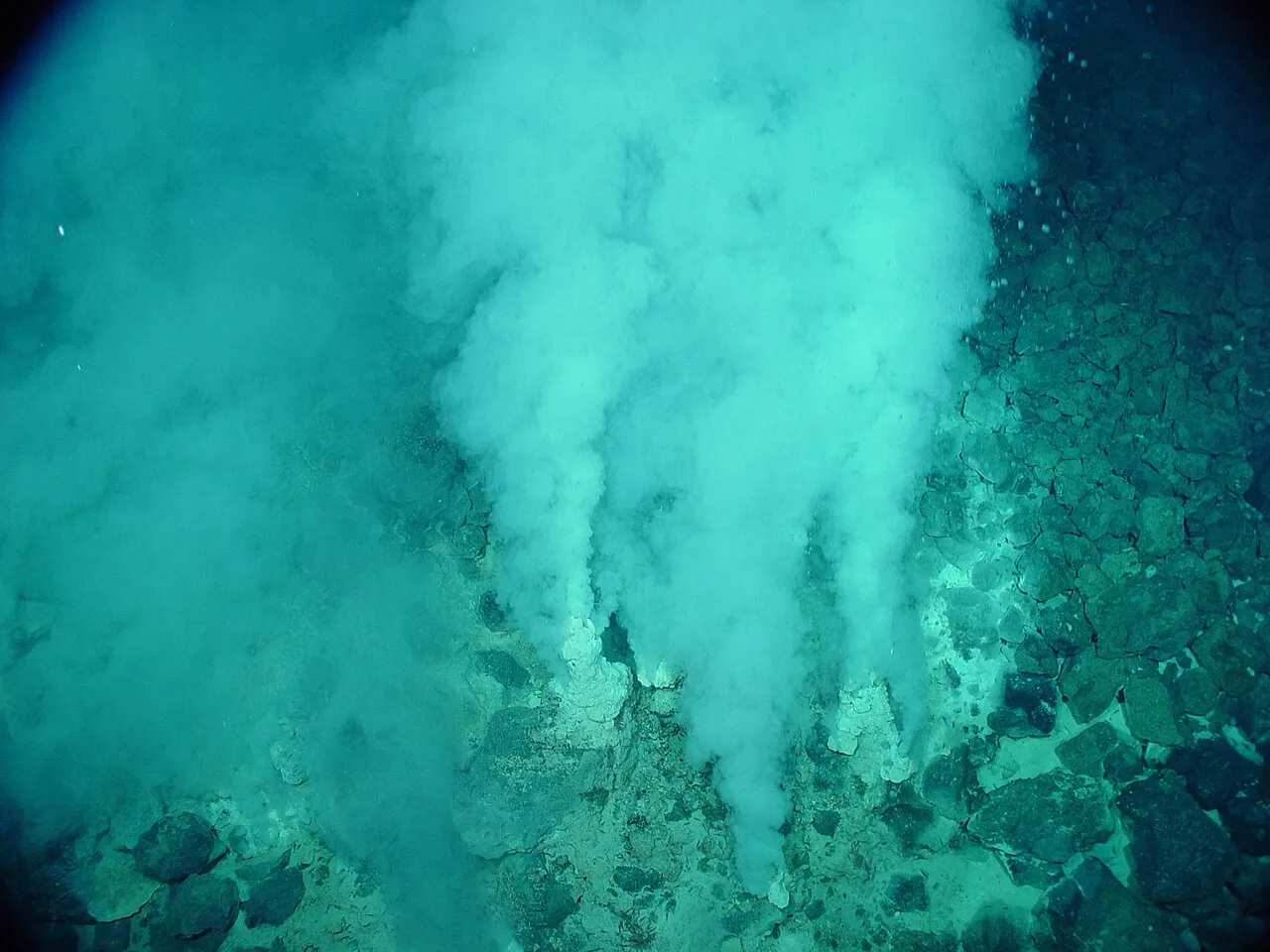 The earliest known life forms may be putative fossilized microorganisms, found in white smoker hydrothermal vent precipi