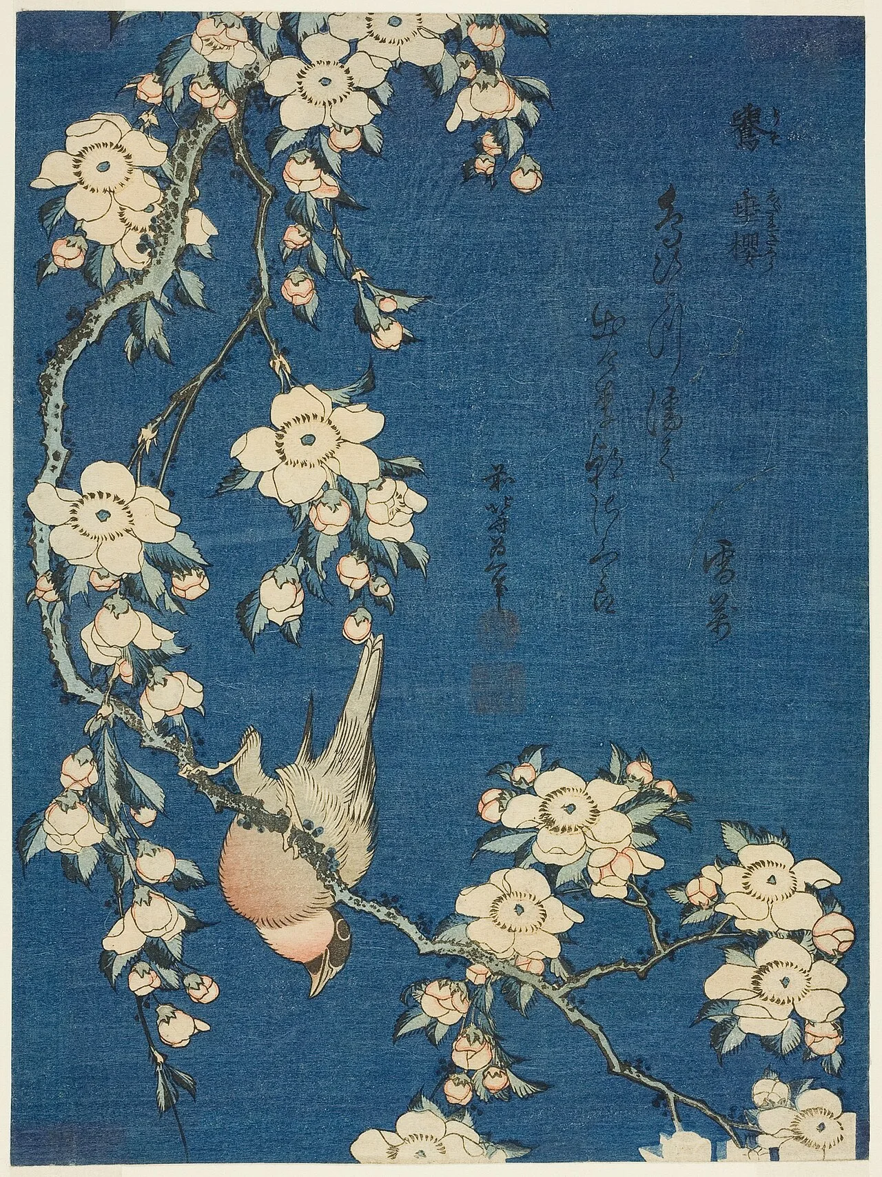 Bullfinch and Weeping Cherry by Hokusai