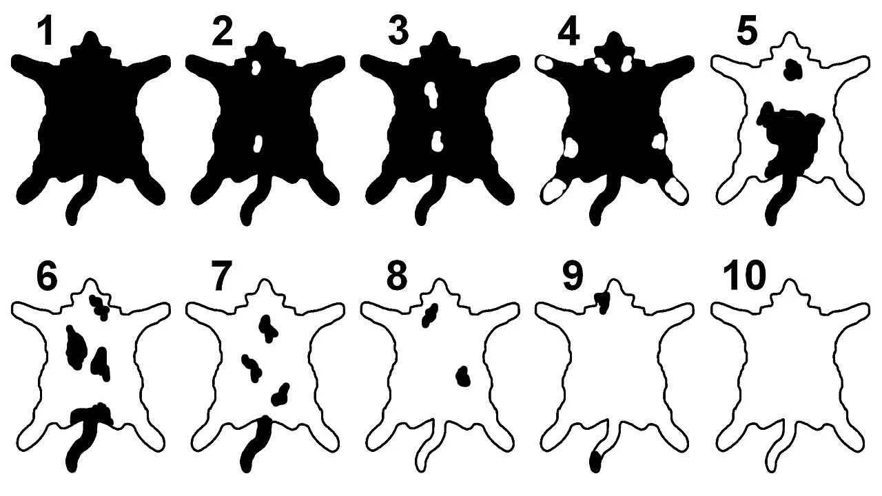 Bicolor grade chart, ranging from 1 (solid colored) to 10 (solid white)