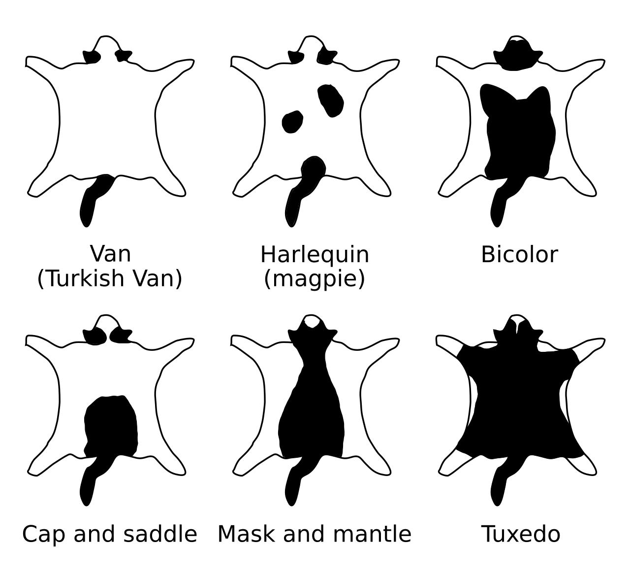 Bicolor pattern chart
