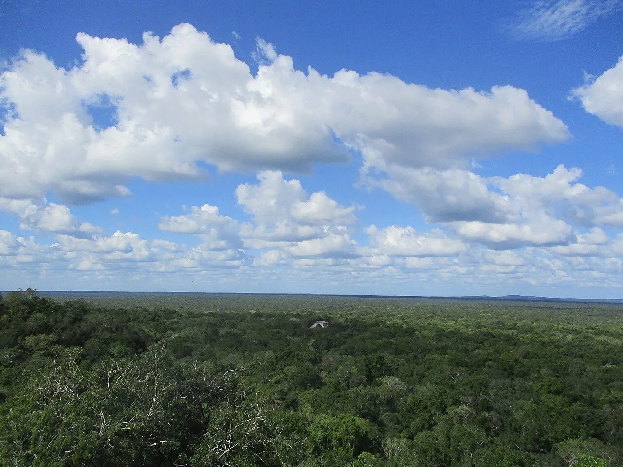 Calakmul