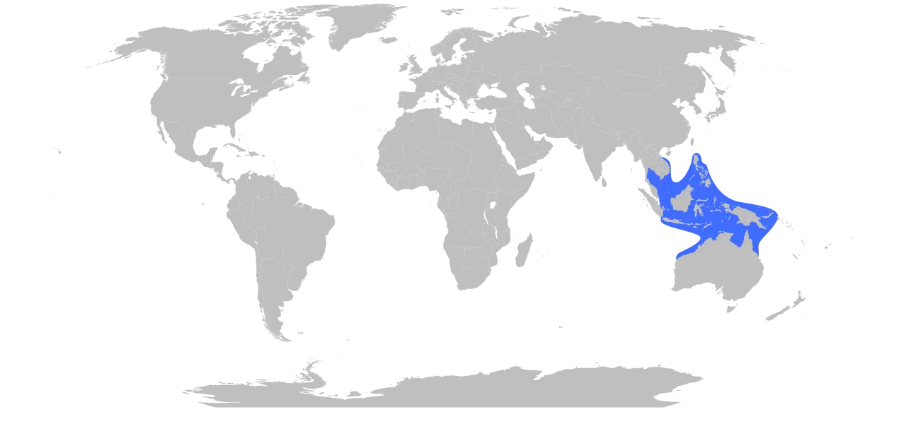 Chironex fleckeri Range Map