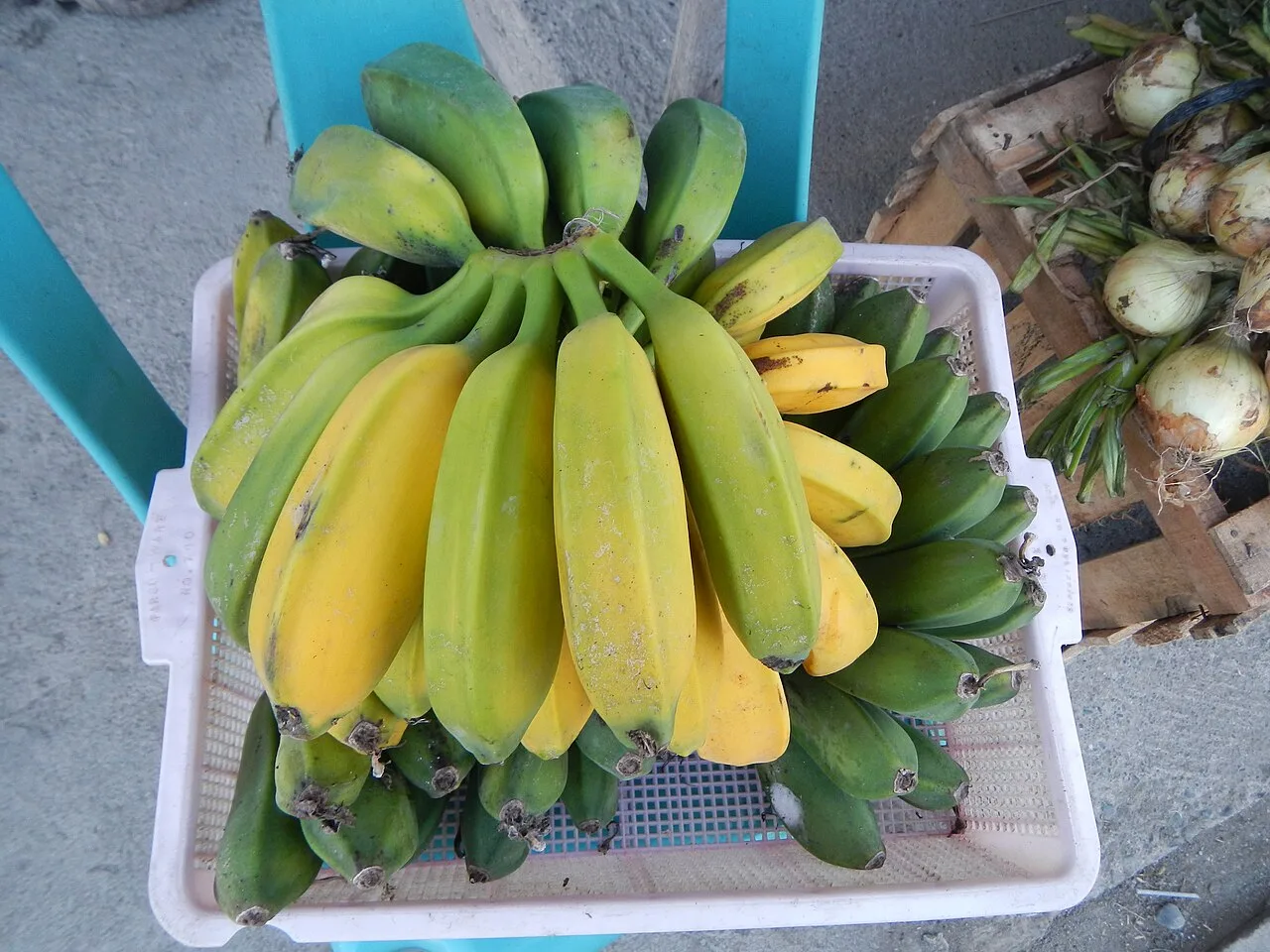 Saba bananas – Musa 'Saba' (ABB Group)