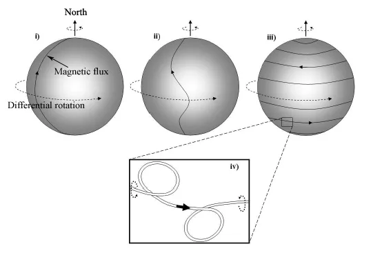 Configuration of solar magnetic flux during the solar cycle