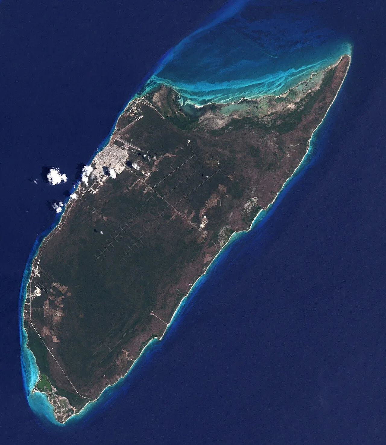 Isla cozumel April17-2001-crop