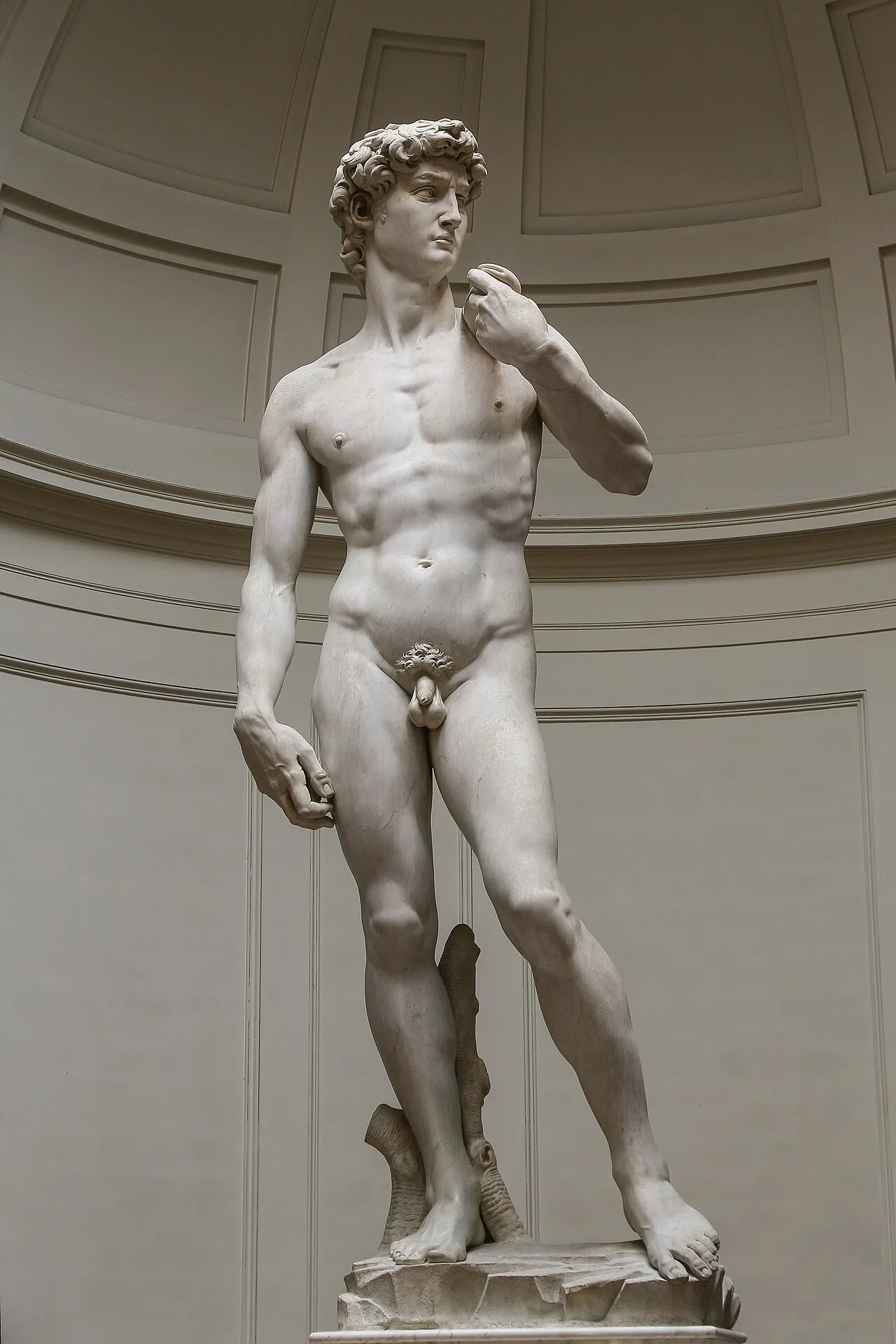 'David' by Michelangelo Fir JBU004