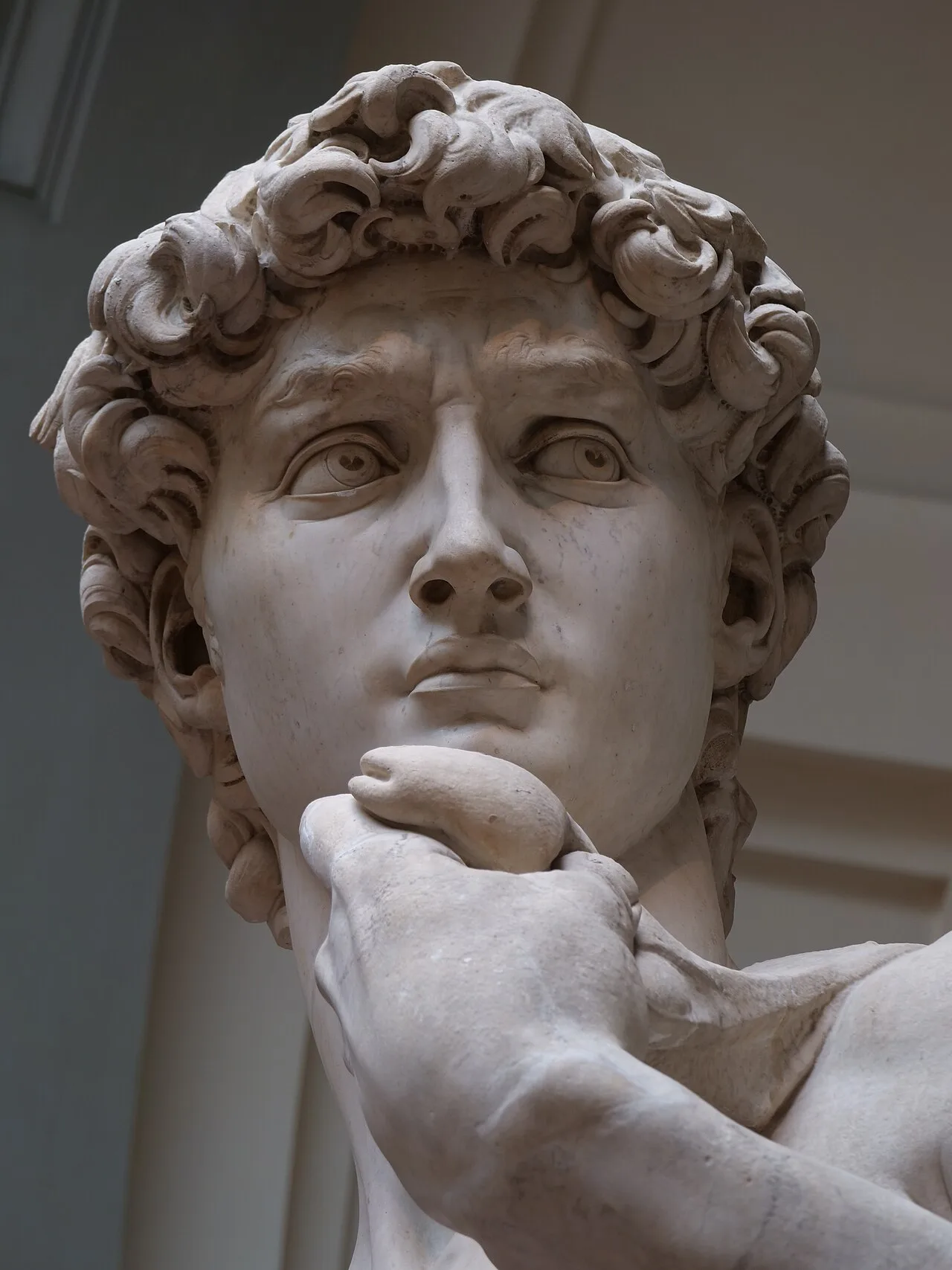 David's gaze