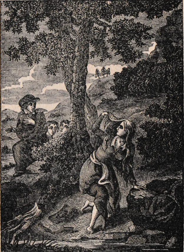 Illustration to The Ingenious Gentleman Don Quixote of La Mancha, Volume II