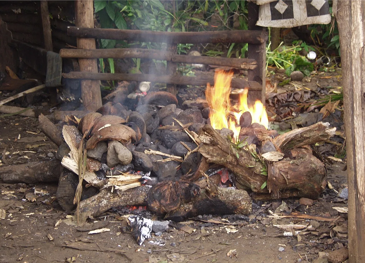 A Samoan 'umu at the early stage of heating the rocks