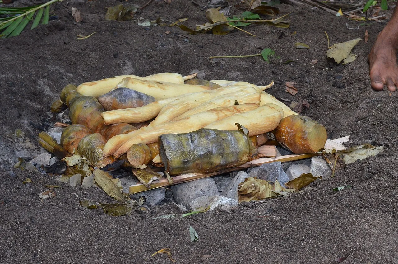 Fijian lovo of cooked staples