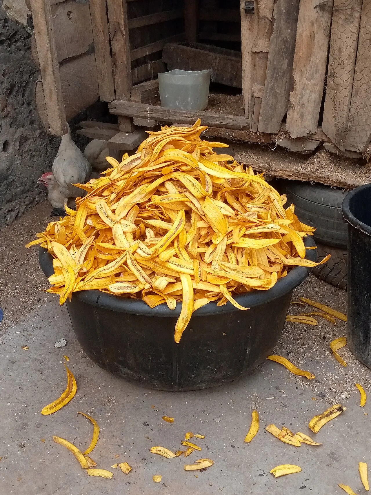Ipekere