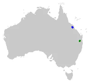 Reobatrachus distribution2