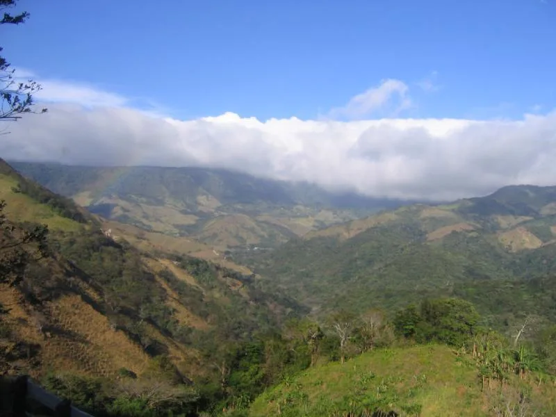 The Monteverde Cloud Forest Reserve, the golden toad's previous habitat
