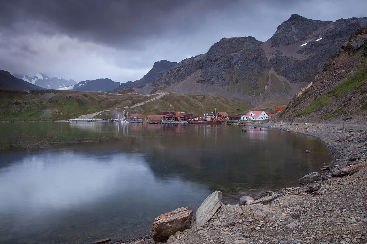 Grytviken20090110-IMG 0743 (16094671225)