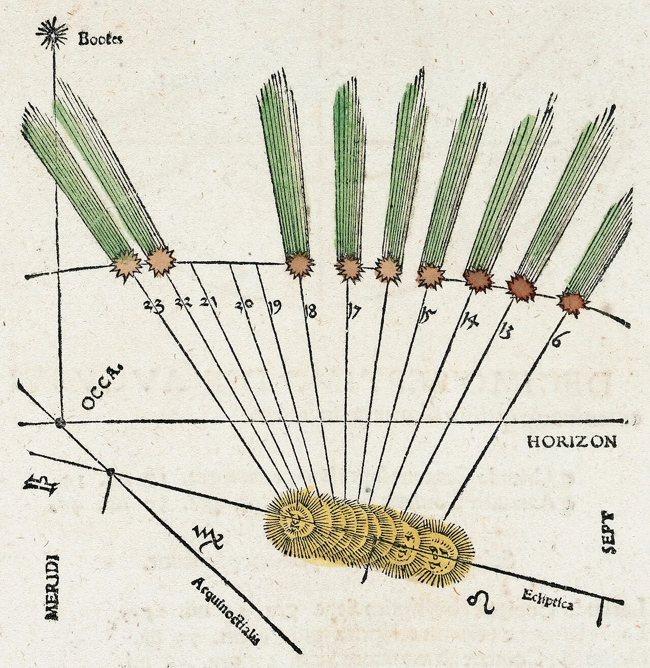 Illustration of the 1531 appearance in Petrus Apianus' Astronomicum Caesareum, noting that a comet's tail always points 