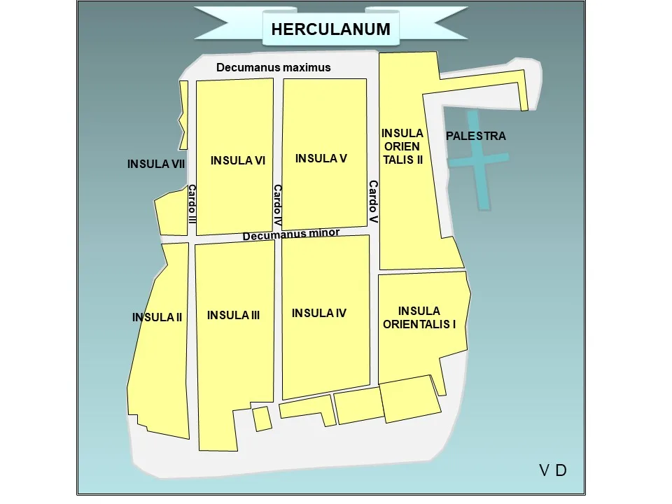 Insulae numbers of main excavated area