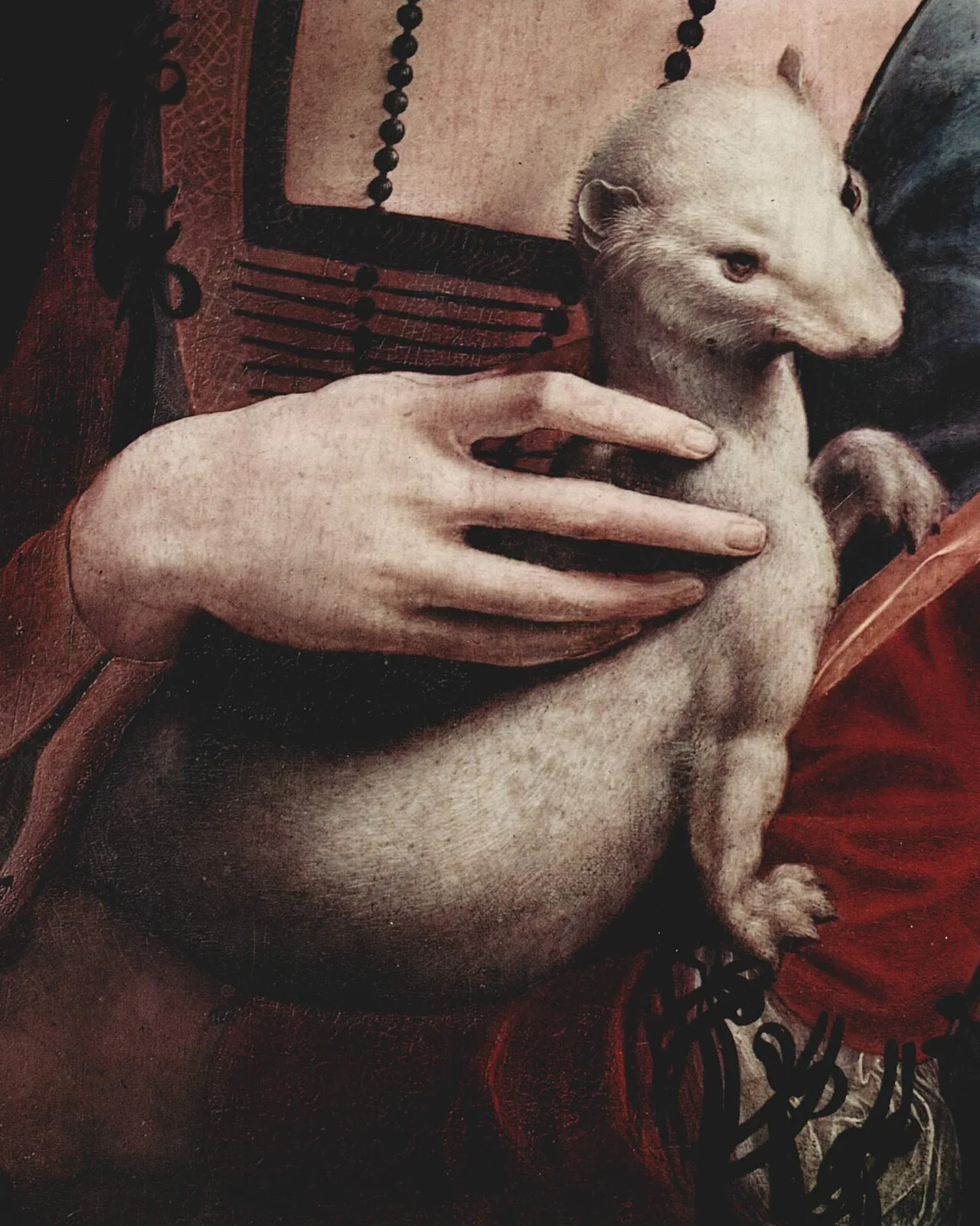Detail of the ermine