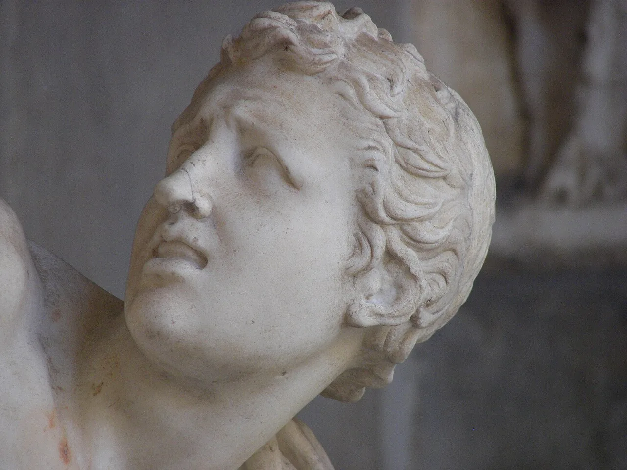 Head of the older son, Antiphantes
