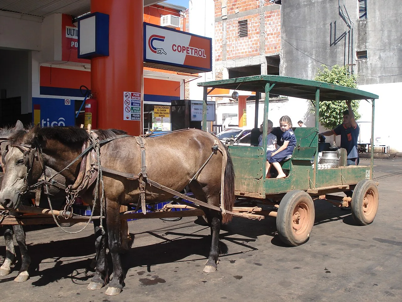 Old Order Mennonite children from San Ignacio, Paraguay.