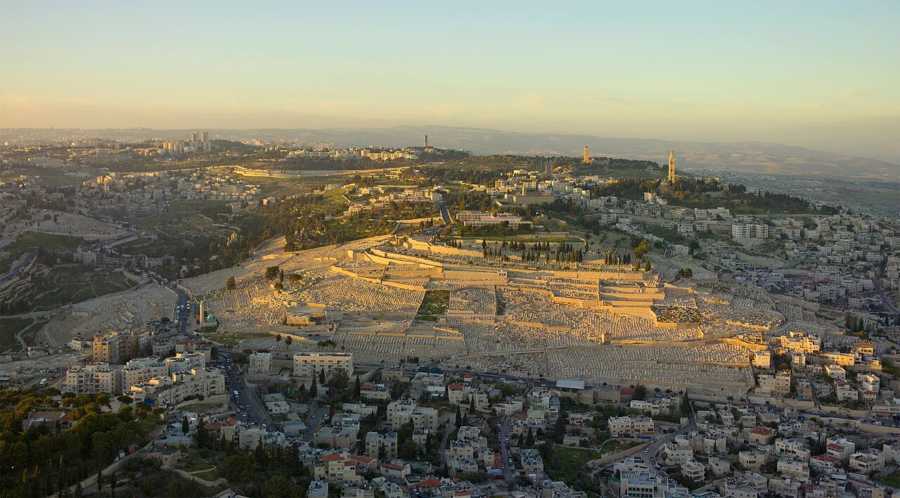 2013-Aerial-Mount of Olives