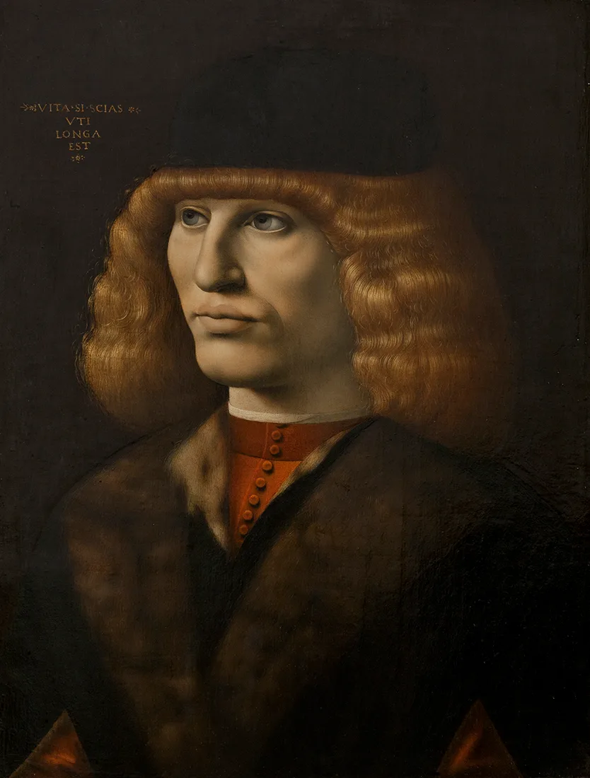 Portrait of a Young Man, c. 1490–1491, Circle of Leonardo. Pinacoteca di Brera, Milan. The artist was noticeably inspired by the Portrait of a Musician.