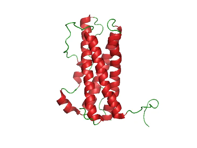 PRL structure