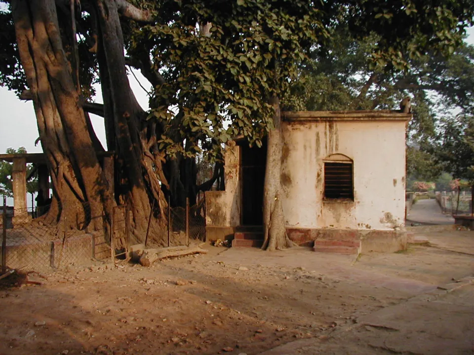 The Panchavati and the hut, where Ramakrishna performed his advaitic sadhana. The mud hut has been replaced by a brick o