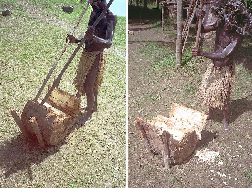 Peeling and pounding a segment of sago palm stem to produce an edible starch. Sepik River, Papua New Guinea