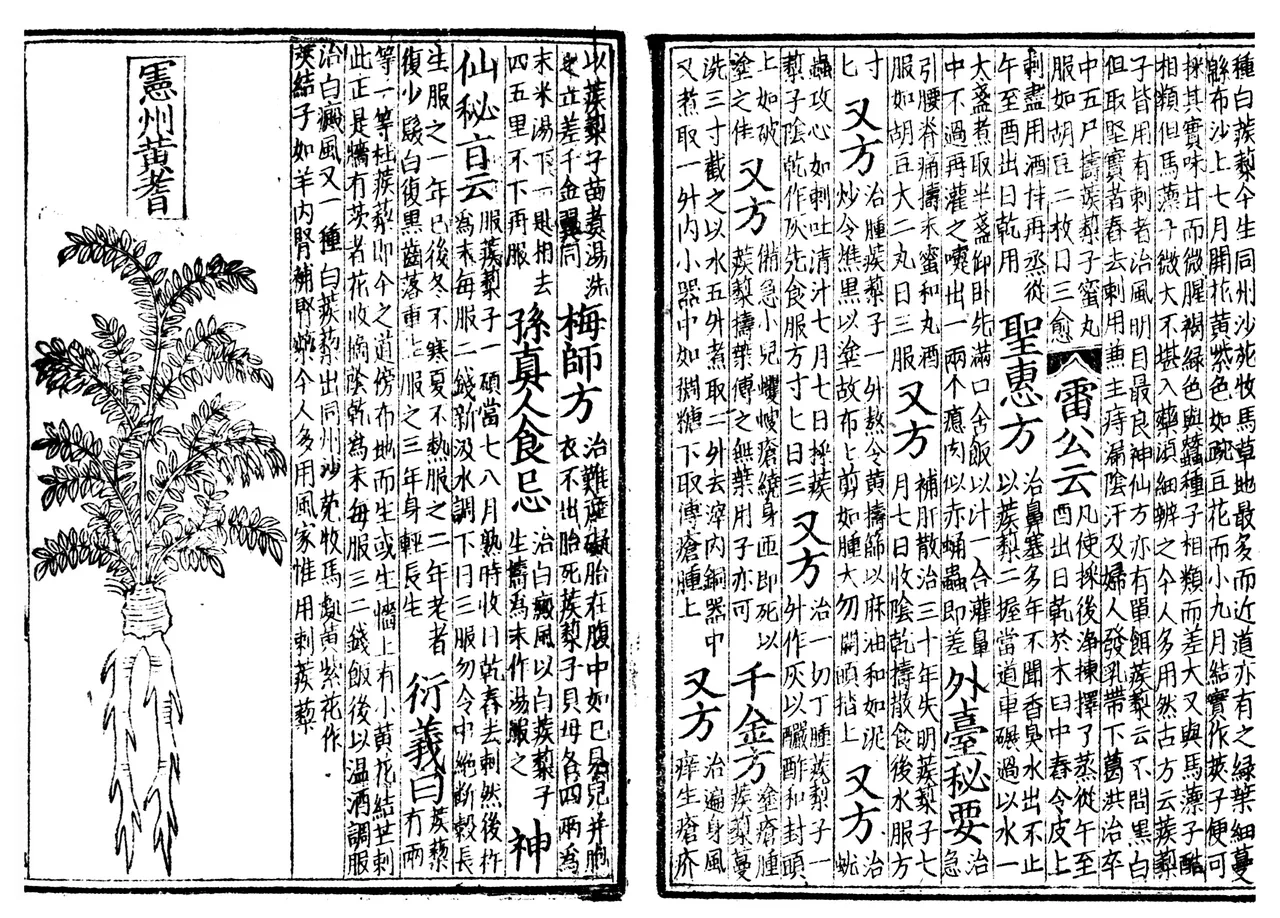 The Bencao on traditional Chinese medicine; printed with woodblock printing press in 1249; Shen grew ill often as a chil