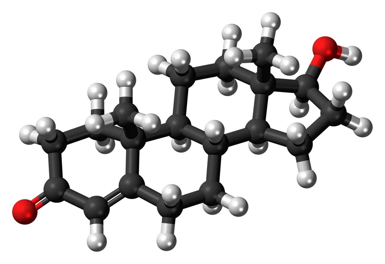 A ball-and-stick model of testosterone.