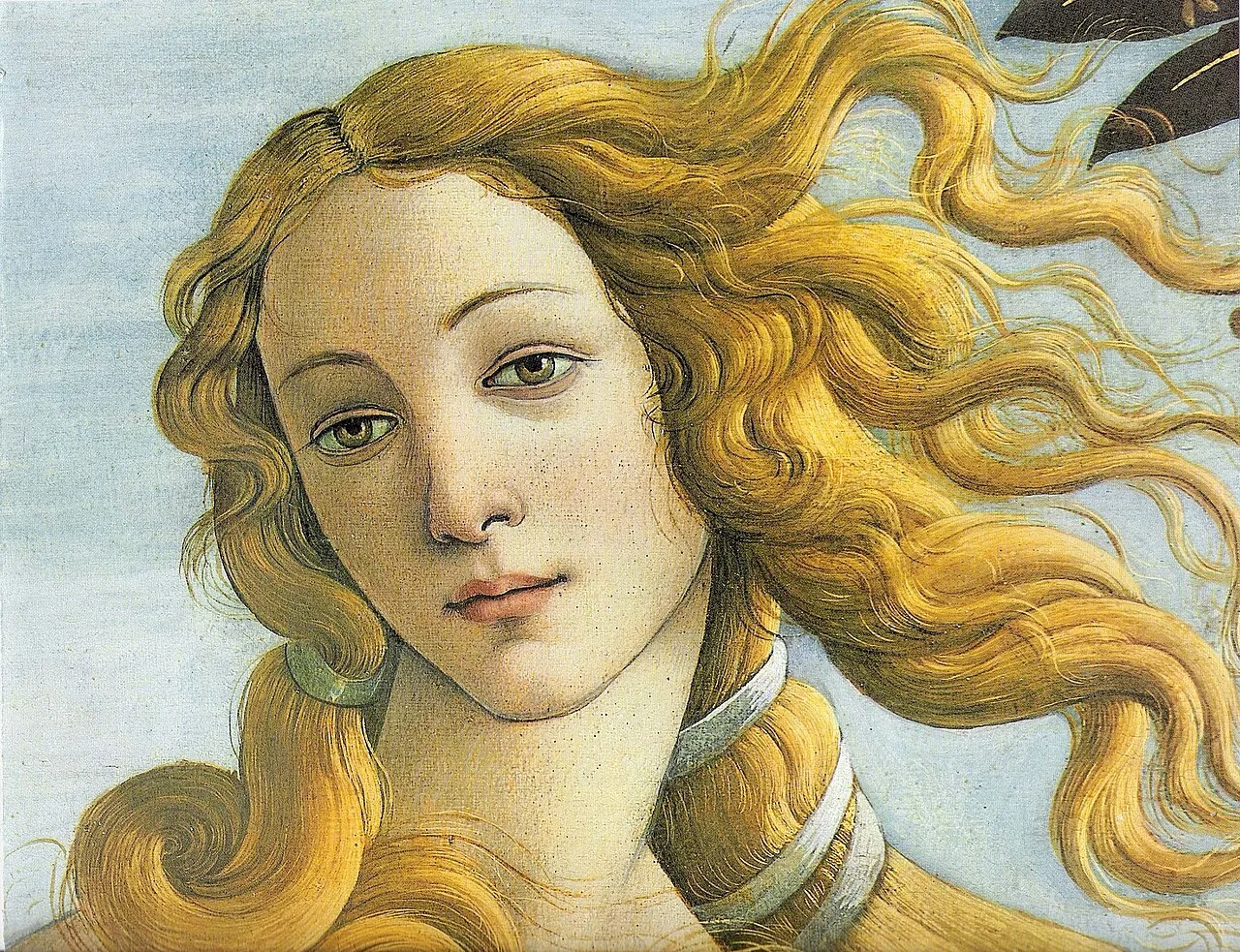 Detail: the face of Venus
