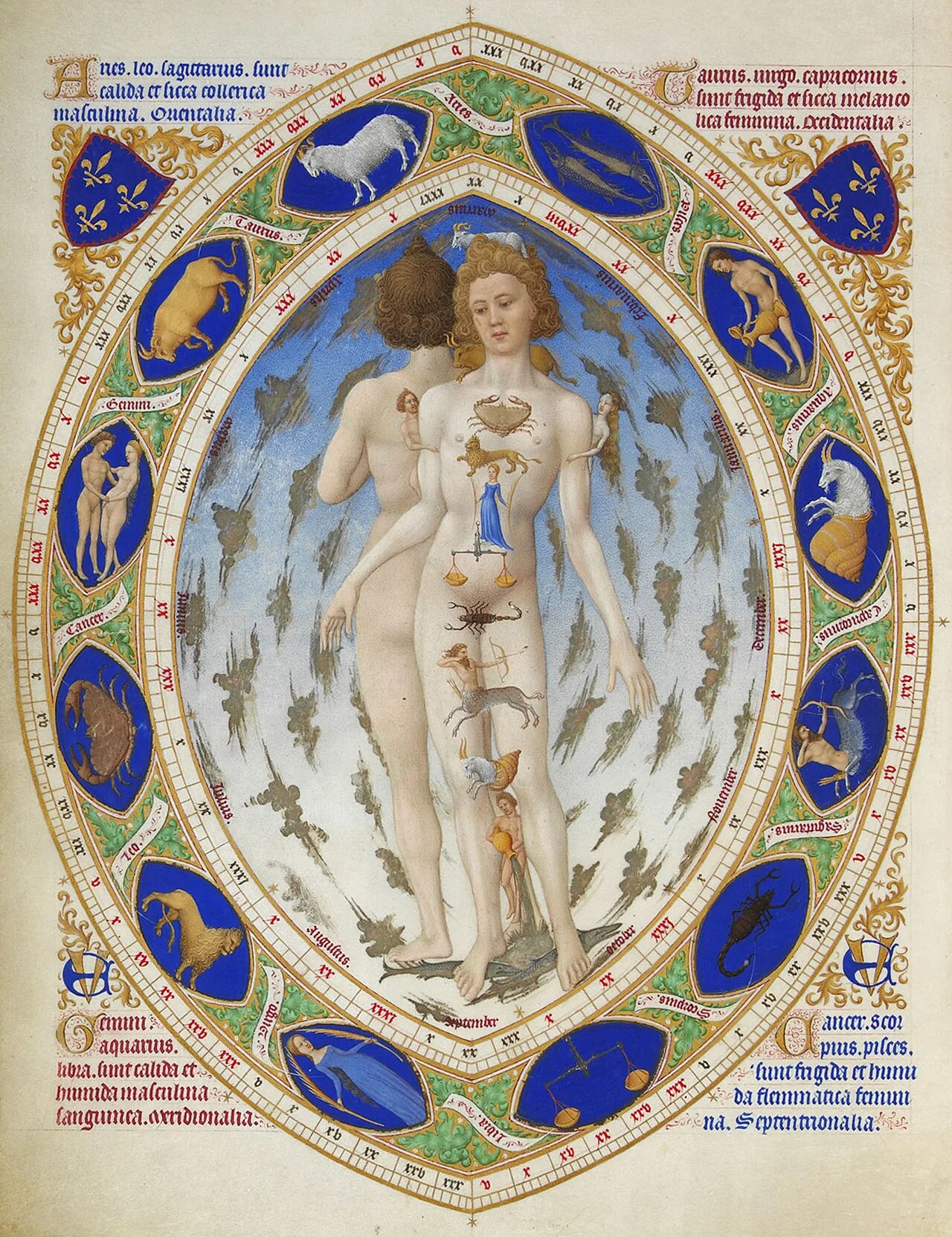 The Anatomical Zodiac Man
