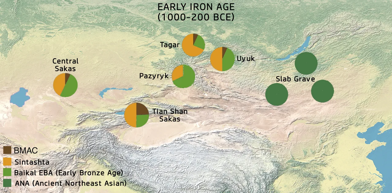 Pre-Xiongnu populations. The Slab-grave people were uniformly of Ancient Northeast Asian origin (ANA  ), while Saka popu